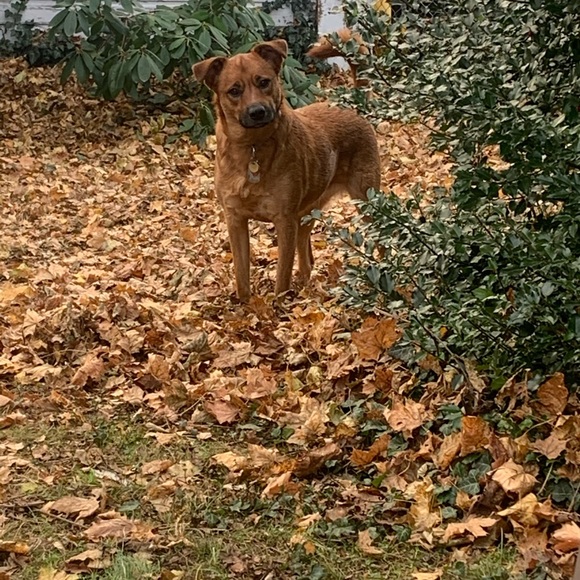 🤸‍♀️📬📮SHIP NEXT BUSINESS DAY!📮📬🤸‍♀️ - Picture 4 of 10